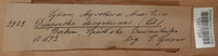 Diaporthe decorticans image